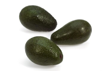 AVOCADO persea gratissima AGAINST WHITE BACKGROUND