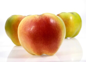 CALVILLE APPLE malus domestica AGAINST WHITE BACKGROUND
