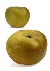CANADA APPLE malus domestica AGAINST WHITE BACKGROUND