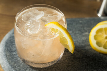 Boozy Sour Gin Fitzgerald Cocktail