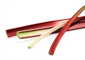 RHUBARB rheum rhaponticum AGAINST WHITE BACKGROUND
