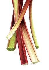 RHUBARB rheum rhaponticum AGAINST WHITE BACKGROUND