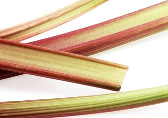 RHUBARB rheum rhaponticum AGAINST WHITE BACKGROUND