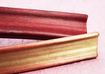 RHUBARB rheum rhaponticum