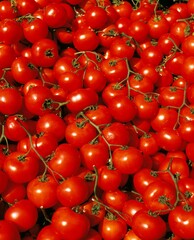 RED TOMATOES AT VEGETABLE MARKET