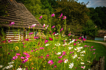 Dom w kwiatach © Arkadiusz