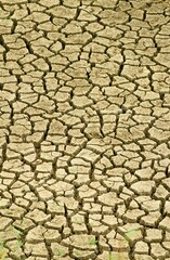 CRACKS IN SOIL, DRYNESS IN KENYA