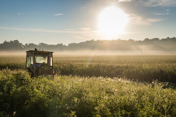 Old Vintage farm tractor in field on a bright summer morning