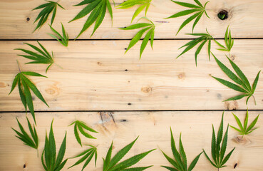 Fresh Hemp Leaves on the wooden background as a decoration or just as background
