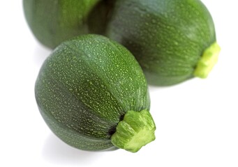 ROUND COURGETTE OR ZUCCHINI cucurbita pepo