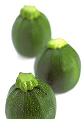 ROUND COURGETTE OR ZUCCHINI cucurbita pepo