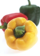 SWEET RED, SWEET YELLOW AND SWEET GREEN PEPPER capsicum annuum