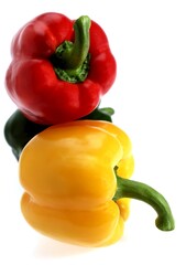 SWEET RED, SWEET YELLOW AND SWEET GREEN PEPPER capsicum annuum