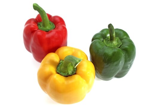 SWEET RED, SWEET YELLOW AND SWEET GREEN PEPPER capsicum annuum