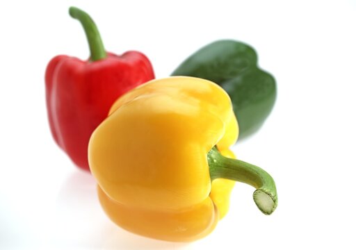 SWEET RED, SWEET YELLOW AND SWEET GREEN PEPPER capsicum annuum