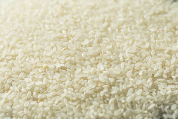 Raw Dry Organic Short Grain White Rice