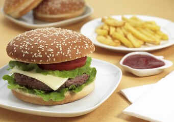 HAMBURGER WITH FRENCH FRIES AND KETCHUP SAUCE