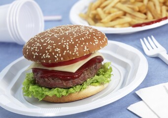 HAMBURGER AND FRENCH FRIES
