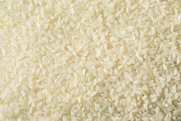 Raw Dry Organic Short Grain White Rice