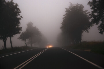 Światła samochodu jadącego we mgle - obrazy, fototapety, plakaty