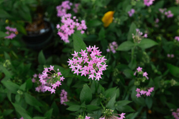 Green leaf in dark green on texture, abstract pattern nature background
