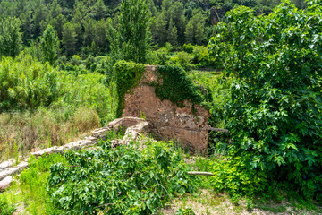 View of the landscape of the Mijares river bed with lots of vegetation in very green tones as it passes through the town of Ayodar