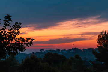 Naklejka premium Landscape of a sunrise with orange tones with pine trees in the foreground