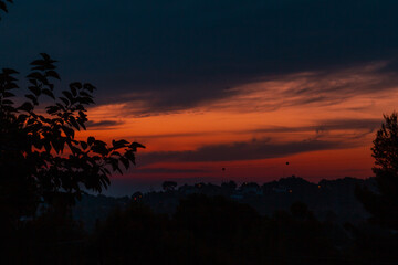 Landscape of a sunrise with orange tones with pine trees in the foreground