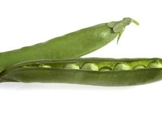 GARDEN PEAS pisum sativum AGAINST WHITE BACKGROUND