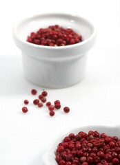 PINK PEPPER AGAINST WHITE BACKGROUND