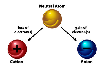 Cations and Anions. A neutral atom becomes an ion by either losing and electron (cation) or gaining an electron (anion)