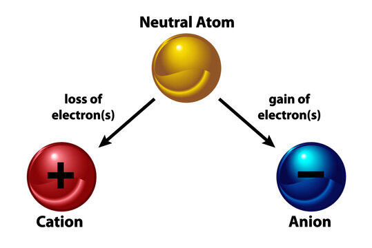 Cations and Anions. A neutral atom becomes an ion by either losing and electron (cation) or gaining an electron (anion)