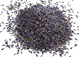 LAVENDER avandula sp, AROMATIC PLANT