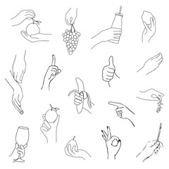 Set of hands holding fruits and berries, vector linear silhouette isolated on a white background.Vector logo element.