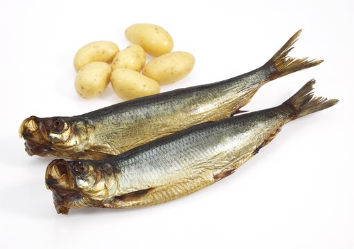 SMOKED HERRING OR BOUFFI BLOATER clupea harengus WITH POTATOES