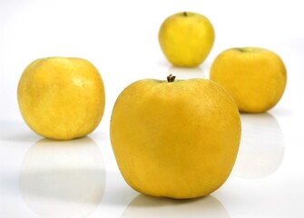 Golden Apples, malus domestica, against White Background