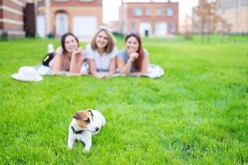 Three beautiful girlfriends are resting lying on the lawn in the countryside. Caucasian women and dog on a picnic outdoors. Blonde brunette and redhead are posing on the green grass.