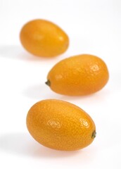 Kumquat, fortunella margarita, Fruit against White Background