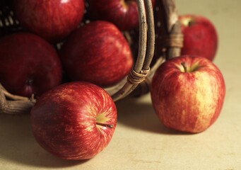 Basket with Royal Gala Apples, malus domestica