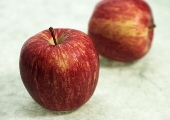 Royal Gala Apple, malus domestica