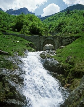 River with Stone Bridge in Pyrenees Park in France