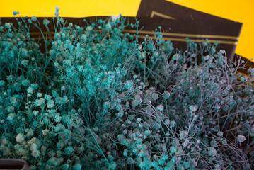 Bouquet of coloured dried gypsophila in black paper packaging on a yellow background