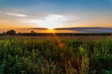 Sunrise over an agricultural field