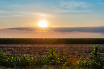 Fototapeta na wymiar Sunrise over an agricultural field