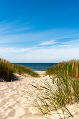 Peaceful beach with dunes and green grass. Ocean in the background, blue sky.
