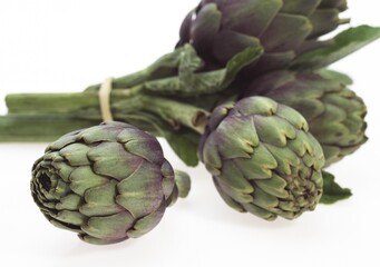 Obraz premium Artichoke, cynara scolymus, Vegetable against White Background