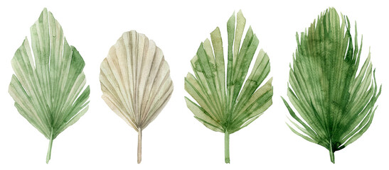 Watercolor Set of tropical leaves. Jungle, botanical watercolor illustrations, floral elements, palm leaves, fern and others. Hand drawn watercolor set of Anthurium green leaves and home plant