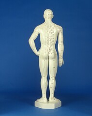 Man Statuette showing Acupuncture Points