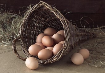 Chicken Eggs in Basket