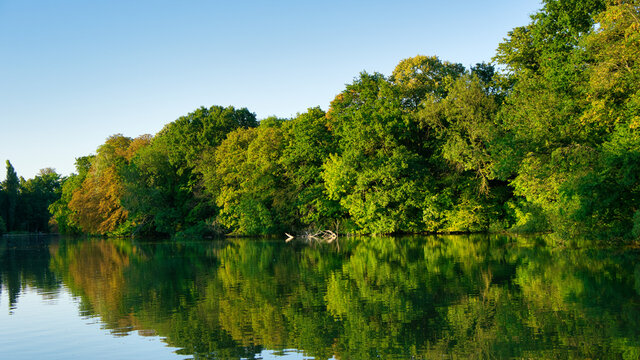 Lake and trees at golden hour in the summer